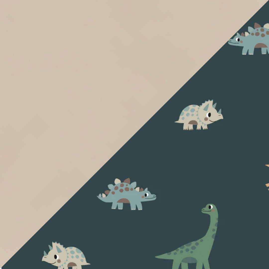 Dinosauri