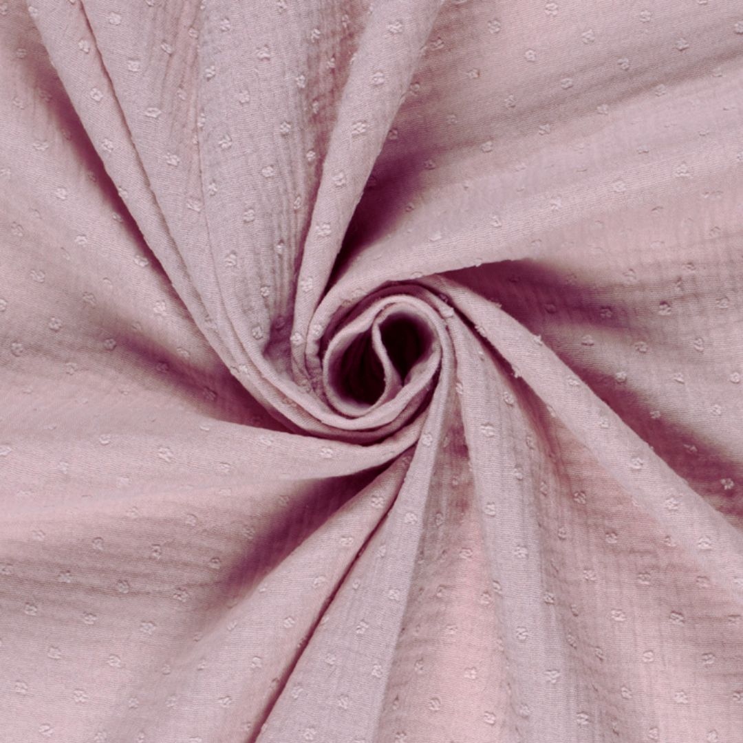 Rosa plumetis